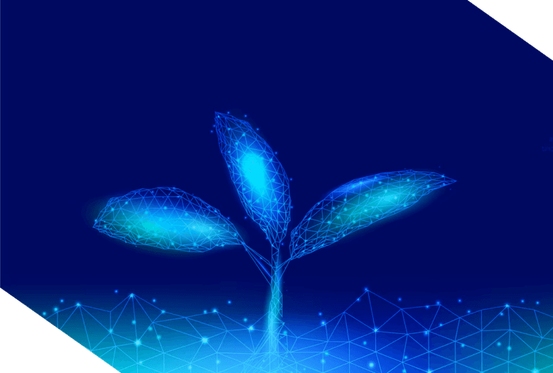 About pacinfraX